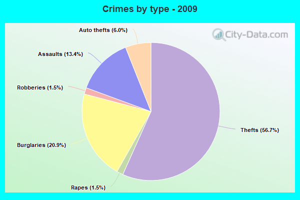 Crimes by type - 2009