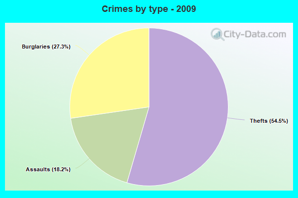 Crimes by type - 2009