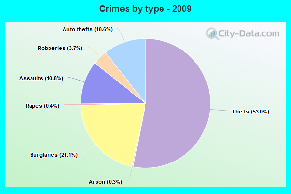 Crimes by type - 2009