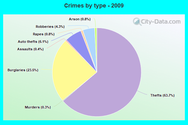 Crimes by type - 2009