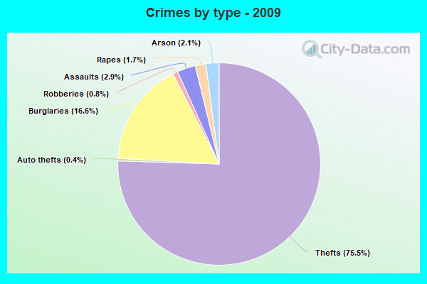 Crimes by type - 2009