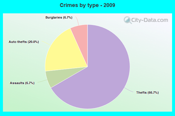 Crimes by type - 2009