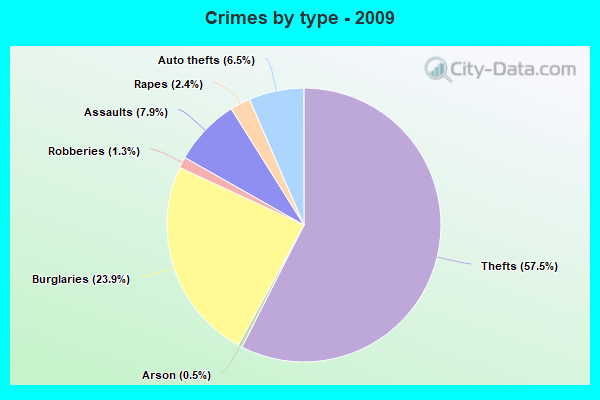 Crimes by type - 2009