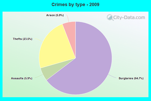 Crimes by type - 2009