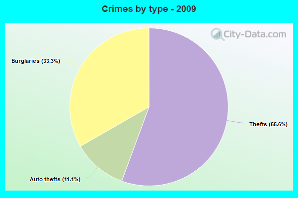 Crimes by type - 2009