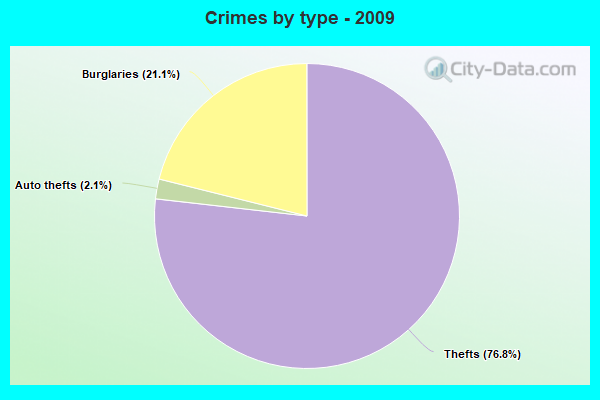 Crimes by type - 2009