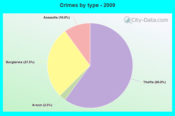 Crimes by type - 2009