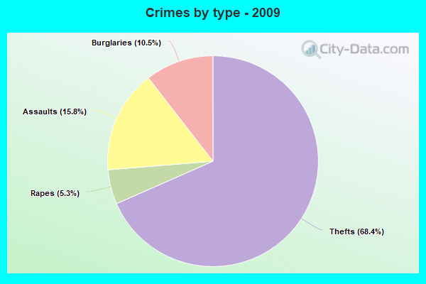 Crimes by type - 2009