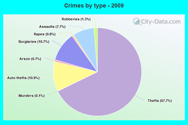 Crimes by type - 2009