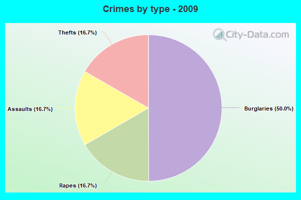 Crimes by type - 2009