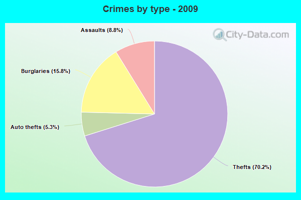 Crimes by type - 2009