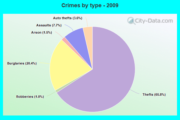 Crimes by type - 2009