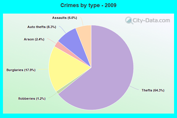 Crimes by type - 2009