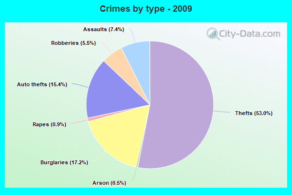 Crimes by type - 2009