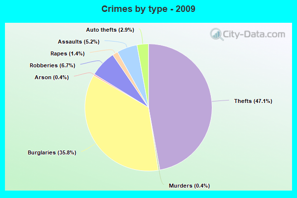 Crimes by type - 2009