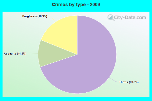 Crimes by type - 2009