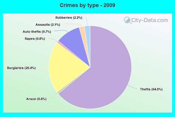 Crimes by type - 2009