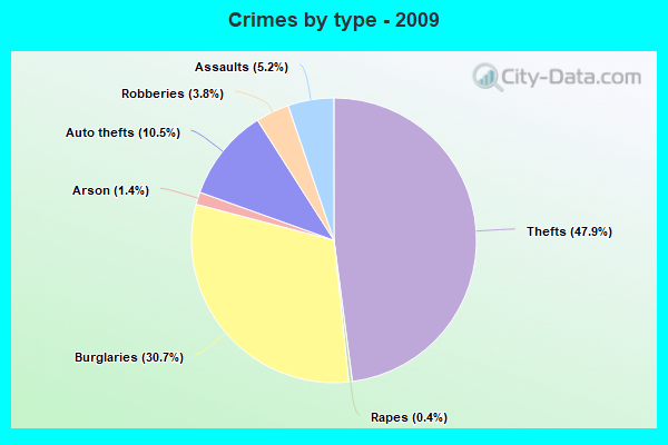 Crimes by type - 2009