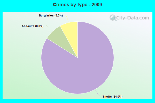 Crimes by type - 2009