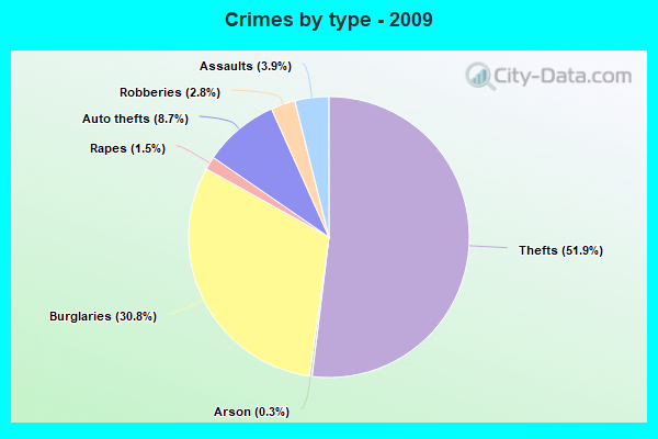 Crimes by type - 2009