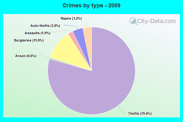 Crimes by type - 2009