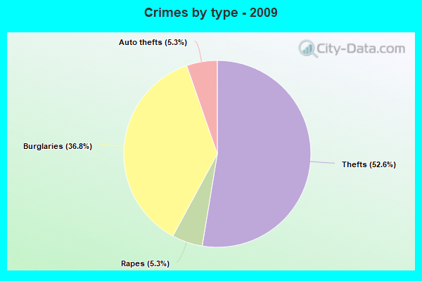 Crimes by type - 2009