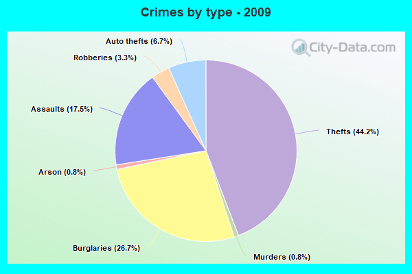 Crimes by type - 2009