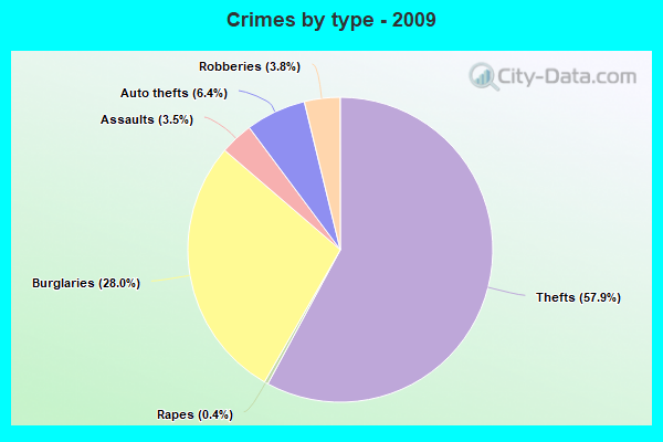 Crimes by type - 2009