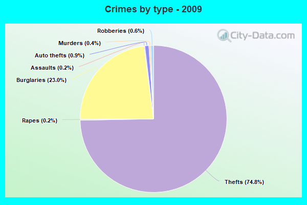 Crimes by type - 2009