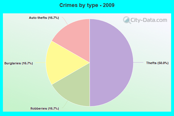 Crimes by type - 2009