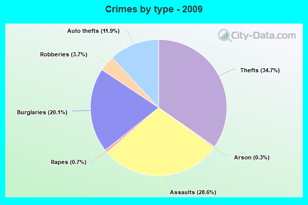 Crimes by type - 2009