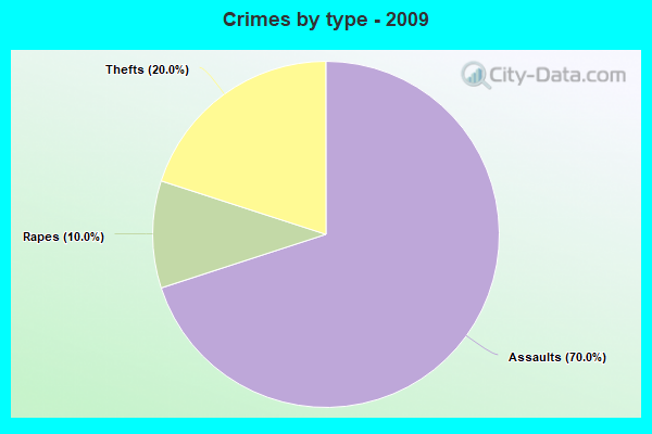 Crimes by type - 2009