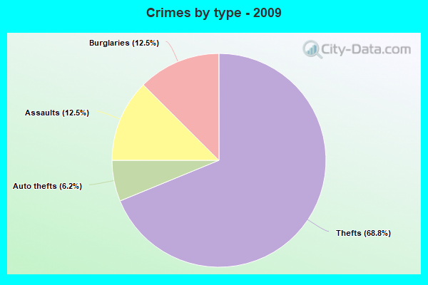 Crimes by type - 2009