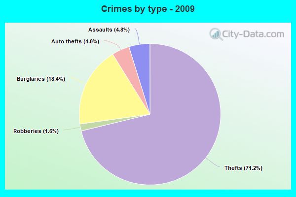 Crimes by type - 2009