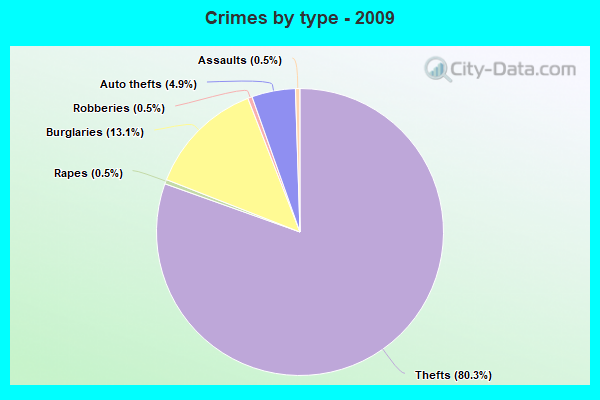 Crimes by type - 2009