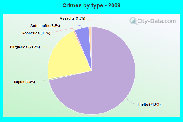 Crimes by type - 2009