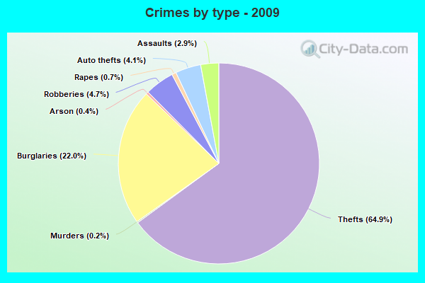 Crimes by type - 2009