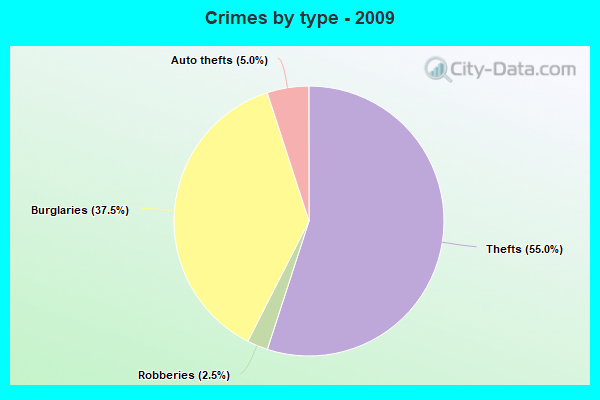 Crimes by type - 2009