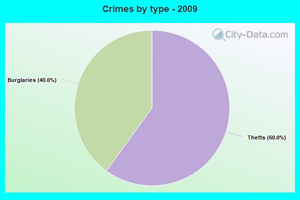 Crimes by type - 2009