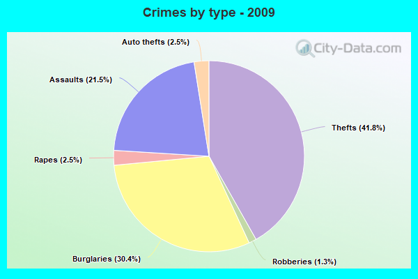 Crimes by type - 2009