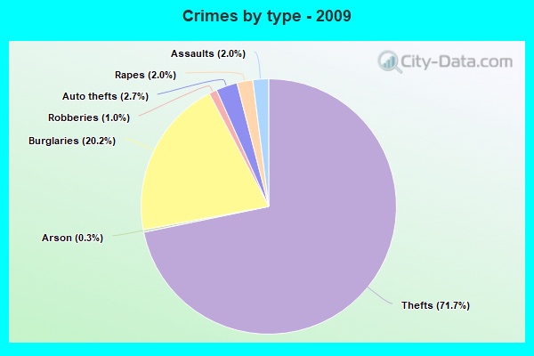 Crimes by type - 2009