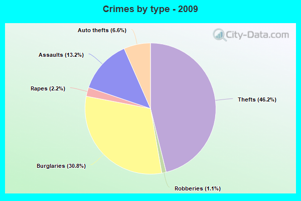 Crimes by type - 2009