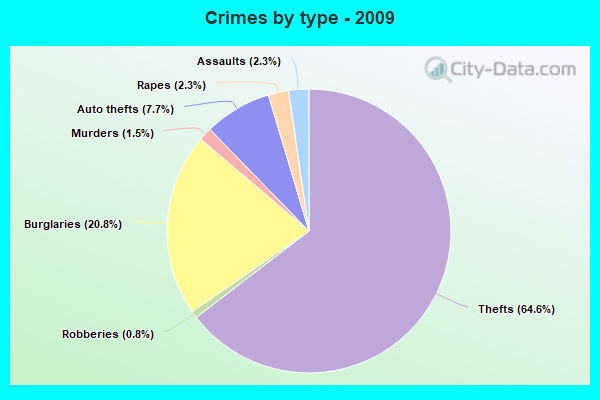 Crimes by type - 2009