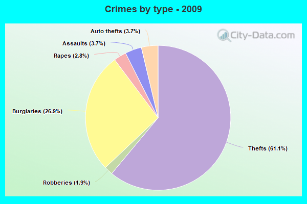 Crimes by type - 2009