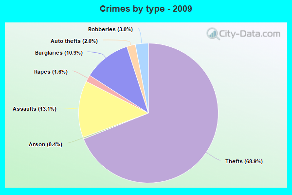 Crimes by type - 2009