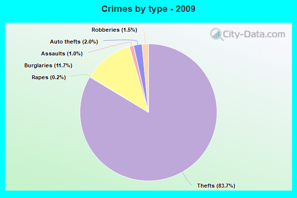 Crimes by type - 2009