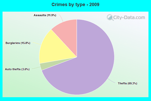 Crimes by type - 2009