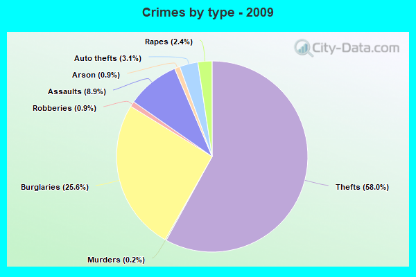 Crimes by type - 2009