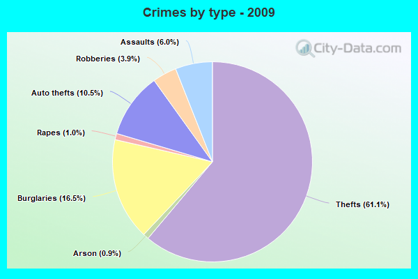 Crimes by type - 2009