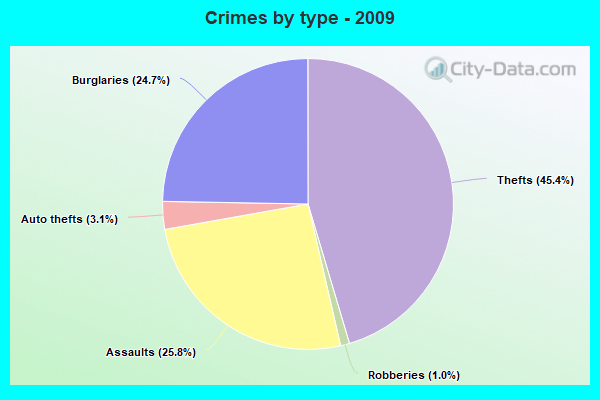 Crimes by type - 2009